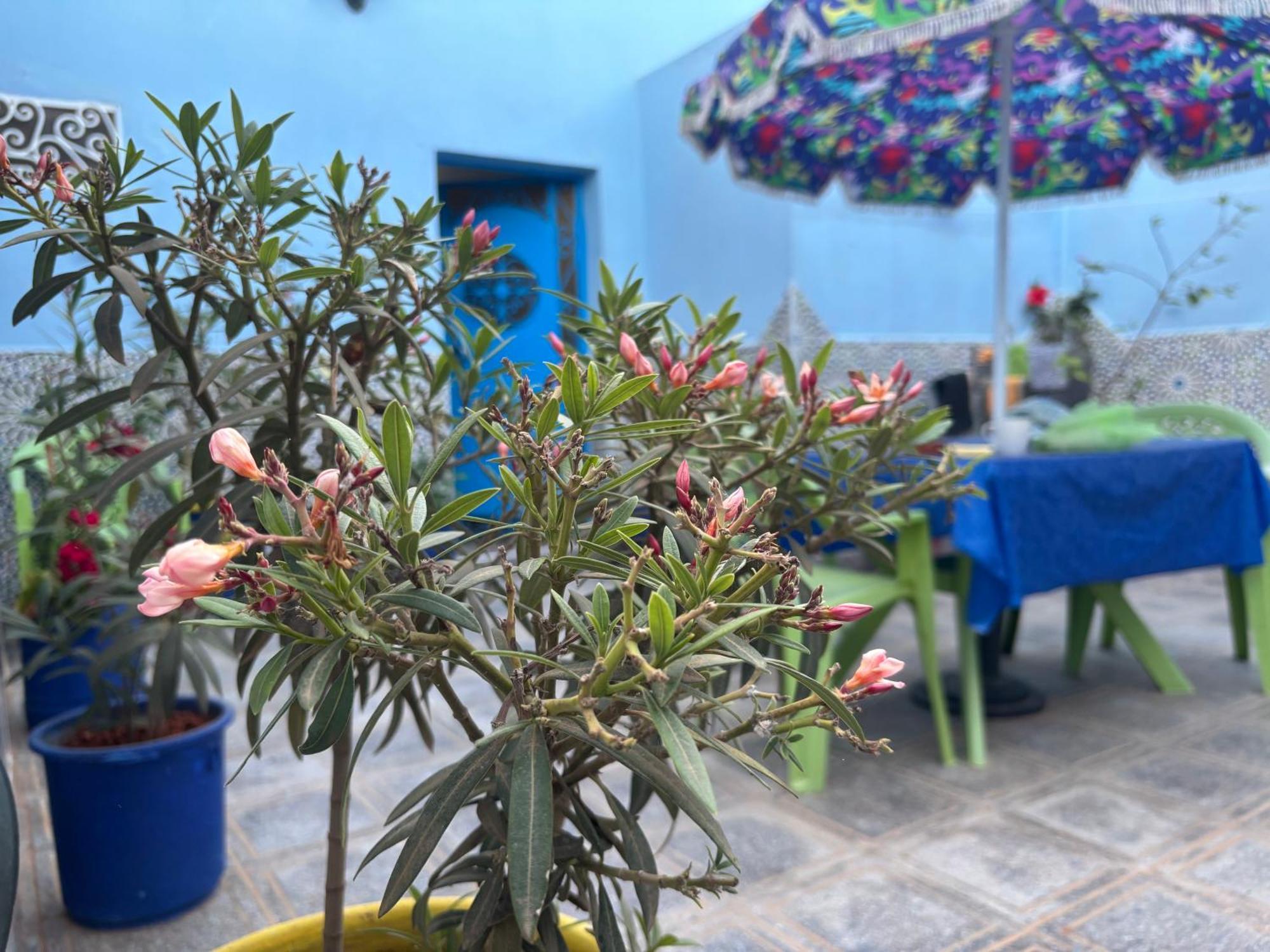 Casa Morisca Villa Sidi Ifni Exterior photo